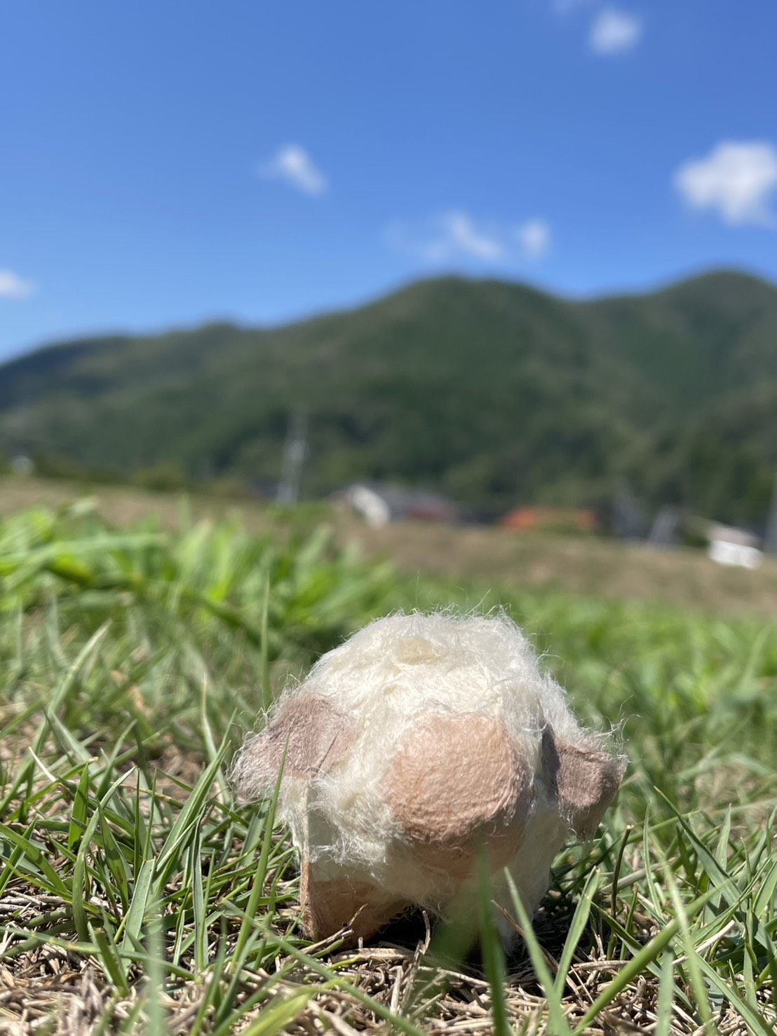 秋の後楽園で楽しむワークショップ 『神代和紙で干支飾りを作ろう』まもなく募集開始です